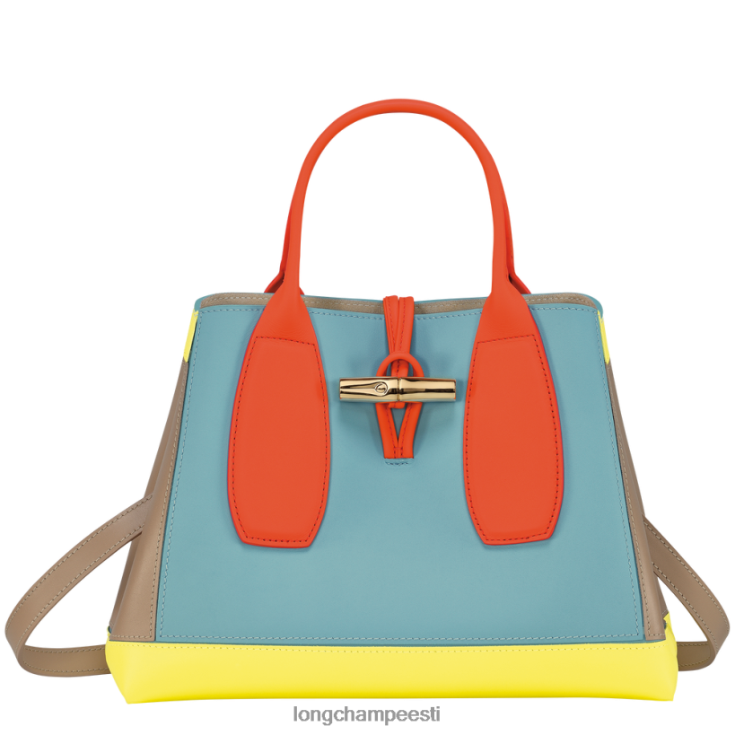 kotid mitmevärviline PD2Z8Z96 roseau käekott naised Longchamp