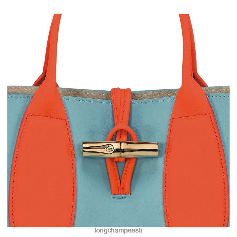 kotid mitmevärviline PD2Z8Z96 roseau käekott naised Longchamp